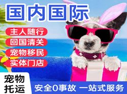 赛乌素航空快运国际宠物托运 【国